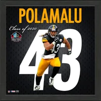 Lids Troy Polamalu Pittsburgh Steelers Highland Mint 2020 Pro