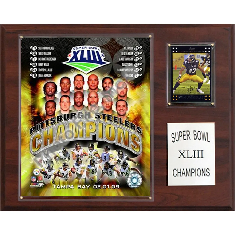 NFL Super Bowl XLIII Champions: Pittsburgh Steelers