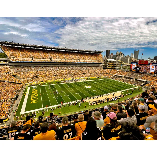 Pittsburgh Steelers George Pickens One Handed Catch During a Game In 2022  8x10 Photo Picture