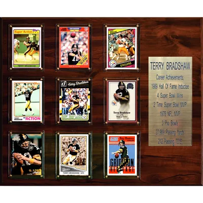 Highland Mint Pittsburgh Steelers Terry Bradshaw Inspiration Frame