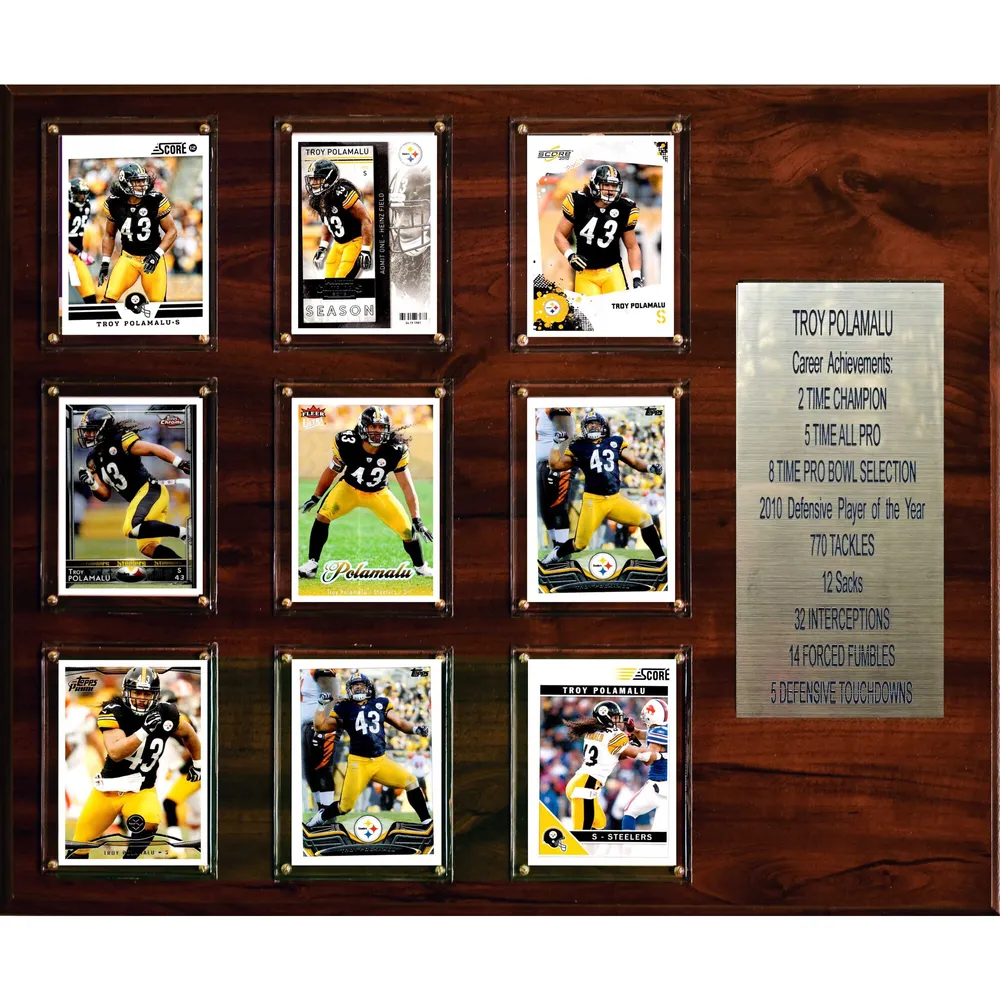 NFL Steelers Super Bowl XLIII Champions Plaque