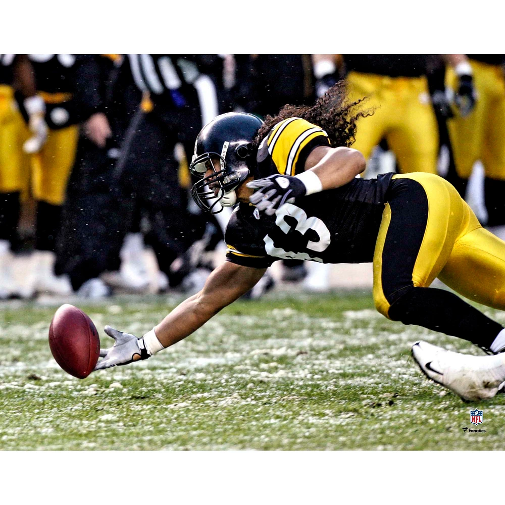 Troy Polamalu Pittsburgh Steelers Fanatics Authentic Unsigned 2008 Diving Interception Photograph