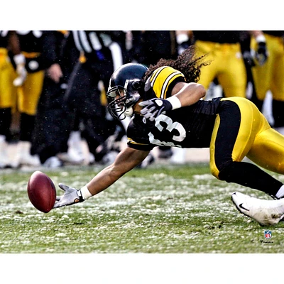 Troy Polamalu Pittsburgh Steelers Fanatics Authentic Unsigned 2008 Diving Interception Photograph