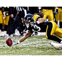 Troy Polamalu Pittsburgh Steelers Fanatics Authentic Unsigned 2008 Diving Interception Photograph