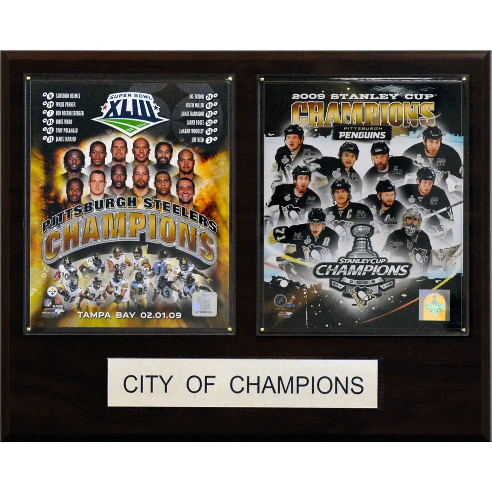 Pittsburgh Steelers 5-Time Super Bowl Champions 24'' x 34'' Magnetic Framed  Poster