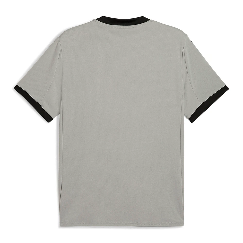 Men's Puma  Gray Portugal National Team 2025 Goalkeeper Jersey