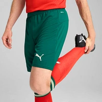 Men's Puma  Green Portugal National Team 2025 Home Replica Shorts