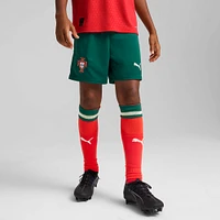 Youth Puma  Green Portugal National Team Replica Shorts