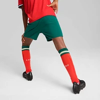 Youth Puma  Green Portugal National Team Replica Shorts