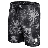 Men's Colosseum Black Providence Friars What Else is New Swim Shorts