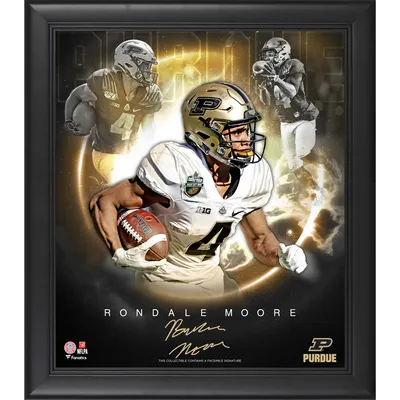 Lids Rondale Moore Arizona Cardinals Fanatics Authentic Framed 15'' x 17''  Player Panel Collage