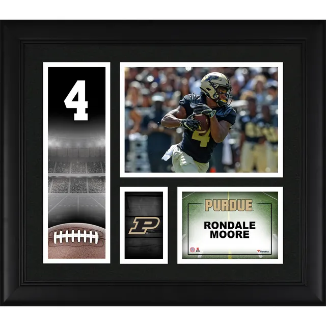 Lids Rondale Moore Arizona Cardinals Fanatics Authentic Framed 15'' x 17''  Player Panel Collage