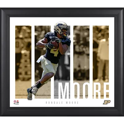 James Conner Arizona Cardinals Framed 15'' x 17'' Player Panel Collage