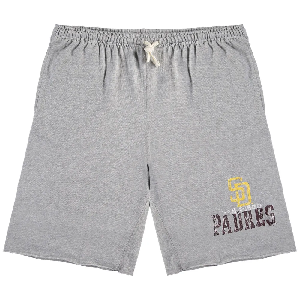 Men's Navy Houston Astros Big & Tall French Terry Shorts