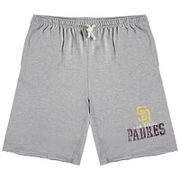 Men's Heathered Gray San Diego Padres Big & Tall French Terry Shorts