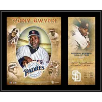 Lids Tony Gwynn San Diego Padres Fanatics Authentic Framed 15 x