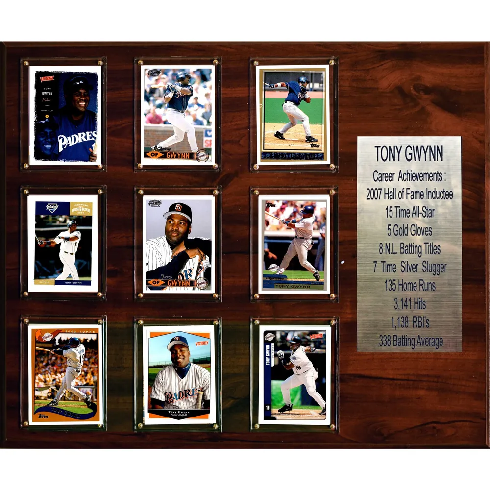 Tony Gwynn San Diego Padres Fanatics Authentic Framed 15 x 17 Baseball  Hall of Fame Collage with Facsimile Signature
