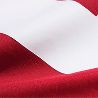 Men's Nike Isaiah Hodgins  Scarlet San Francisco 49ers Team Game Jersey