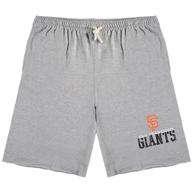 Fanatics Branded Gray San Francisco 49ers Big & Tall Team Shorts