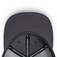 Men's Nike Gray San Francisco Giants True Performance Fitted Hat