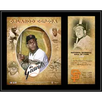 Fanatics Authentic Juan Marichal San Francisco Giants Framed 15 x 17 Baseball Hall of Fame Collage with Facsimile Signature