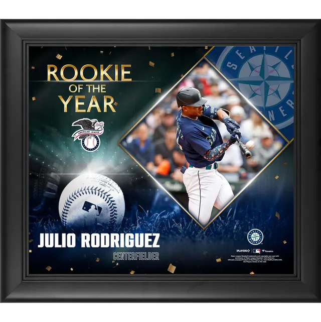 Julio Urias Los Angeles Dodgers Fanatics Authentic Framed 15 x 17 Stitched Stars Collage