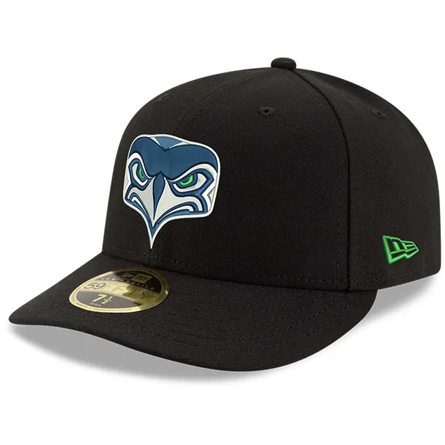 Lids Seattle Seahawks Pro Standard Logo II Snapback Hat - College Navy