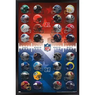 Carolina Panthers 22.4'' x 34'' Magnetic Framed Helmet Poster