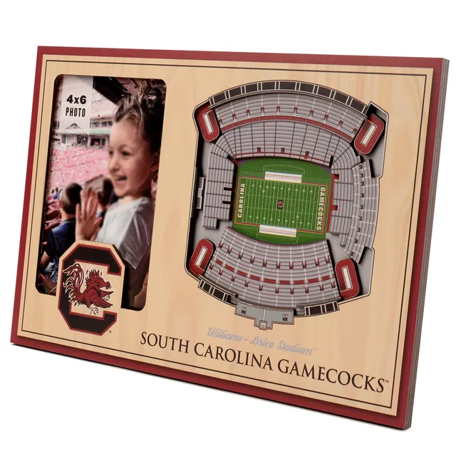 Carolina Panthers 3D StadiumViews Picture Frame Bank of America