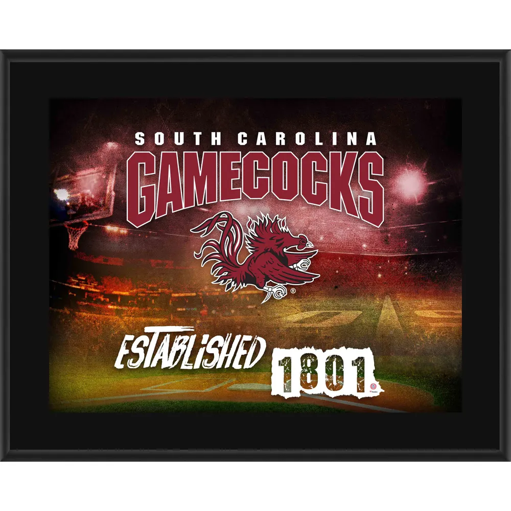 Seth Jarvis Carolina Hurricanes 10.5 x 13 Sublimated Player Plaque