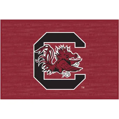 South Carolina Gamecocks 20'' x 30'' Floor Mat