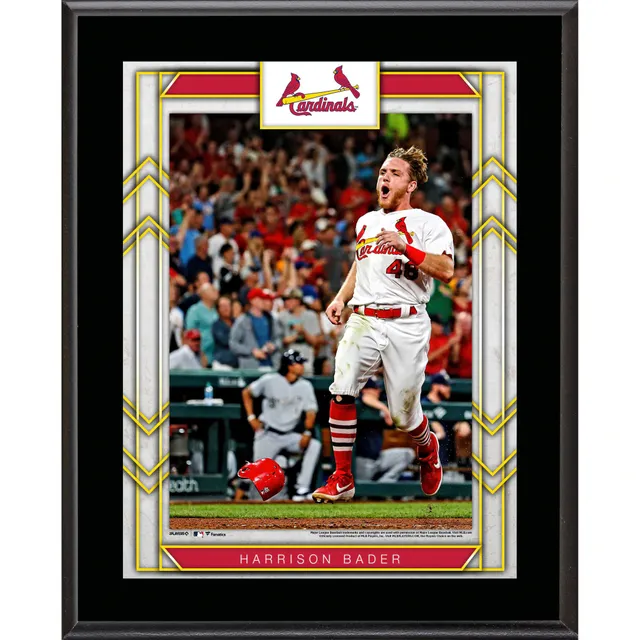 Albert Pujols St. Louis Cardinals Fanatics Authentic Autographed 16