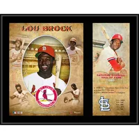 Fanatics Authentic Ozzie Smith St. Louis Cardinals Framed 15 x 17 Hall of Fame Career Profile