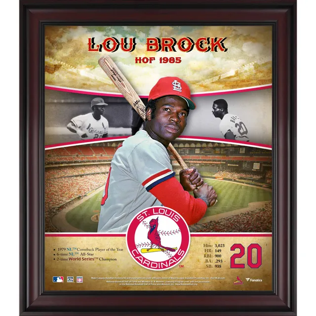 MLB Fanatic: St. Louis Cardinals 12 x 12 Paper