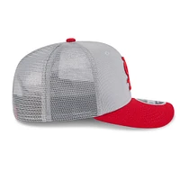 Men's New Era  Gray/Red St. Louis Cardinals 2025 Batting Practice 9SEVENTY Stretch-Snap Trucker Hat