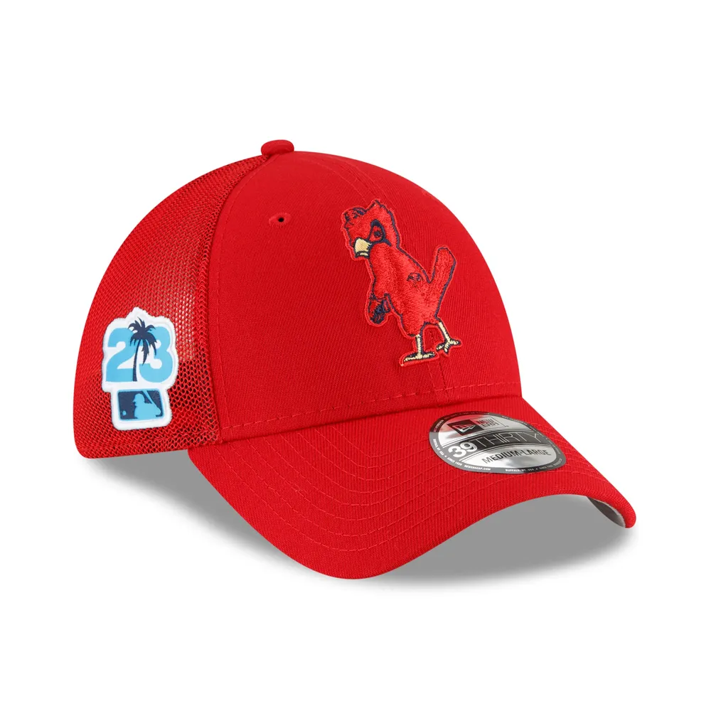 Toddler St. Louis Cardinals New Era White Pattern 9FORTY Flex Hat