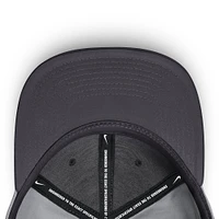 Men's Nike Gray St. Louis Cardinals True Performance Fitted Hat