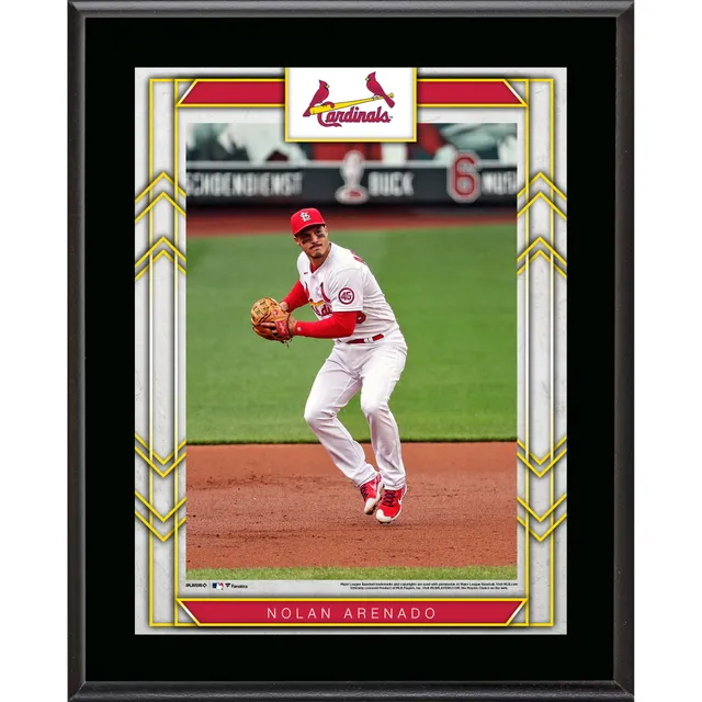 Dylan Carlson St. Louis Cardinals Framed 15 x 17 Stitched Stars Collage