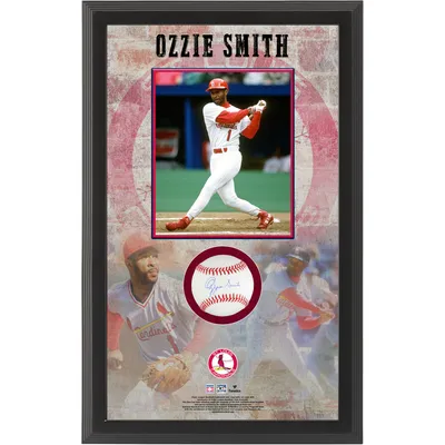 Ozzie Smith St. Louis Cardinals Fanatics Authentic Autographed Baseball Shadow Box