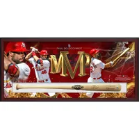 Fanatics Authentic St. Louis Cardinals Acrylic Cap and Baseball Logo Display Case
