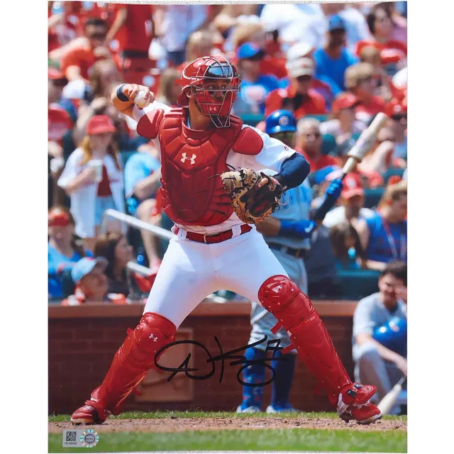 Lids St. Louis Cardinals Scott Rolen Autographed Photo