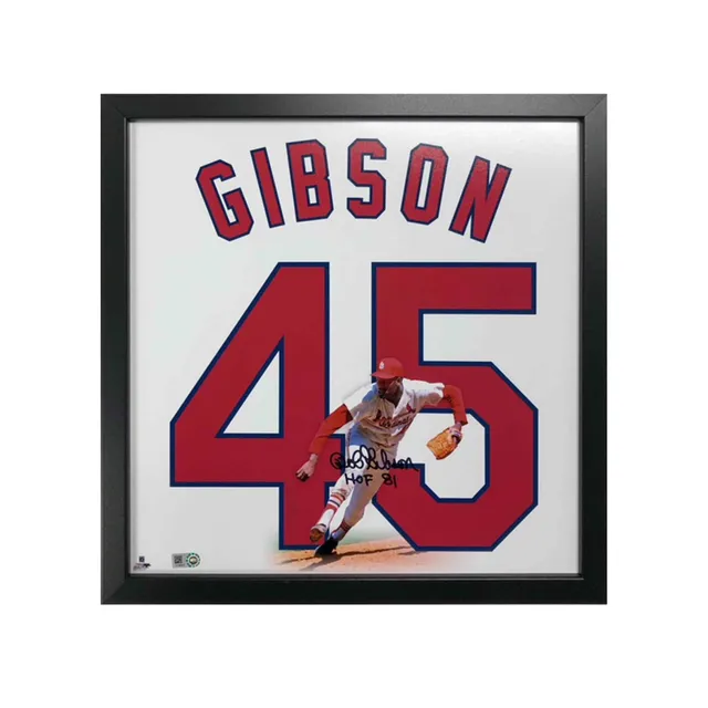 Bob Gibson Autographed and Framed St Louis Cardinals Jersey