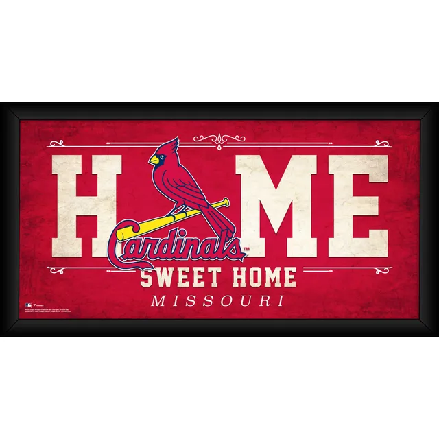 Lids St. Louis Cardinals Fanatics Authentic Framed 15 x 17 Team