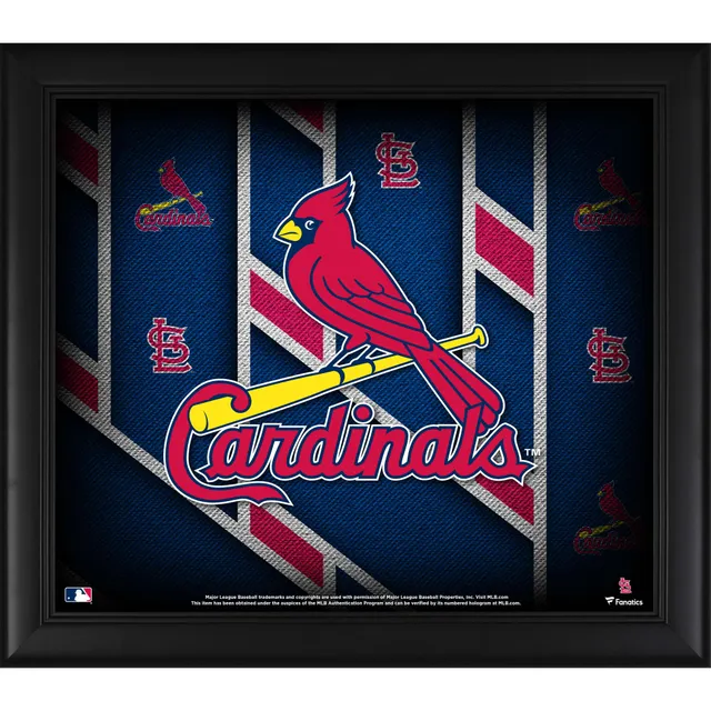 Louisville Cardinals Framed 15 x 17 Team Logo Threads Collage