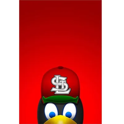 St. Louis Cardinals Fredbird Minimalist Canvas