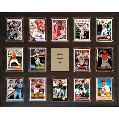 Lids St. Louis Cardinals 2006 World Series Champions 12'' x 15'' Plaque