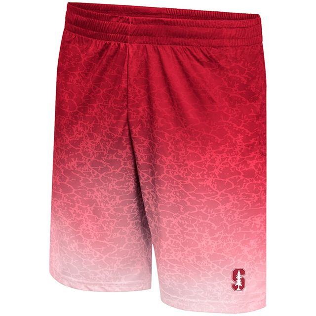 Short Colosseum Cardinal Stanford Walter pour hommes