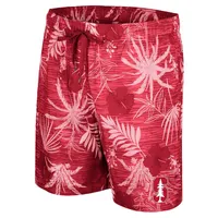 Men's Colosseum Cardinal Stanford What Else is New Swim Shorts