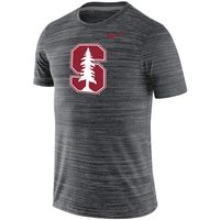 Men's Nike Black Stanford Cardinal Big & Tall Velocity Performance T-Shirt