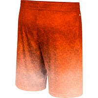 Men's Colosseum Orange Syracuse Walter Shorts